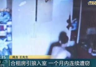 引狼入室在线观看 第2张 引狼入室在线观看 第2张