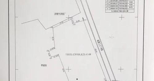 遂溪新闻爆料最新消息视频,视频揭露惊人真相！  第2张